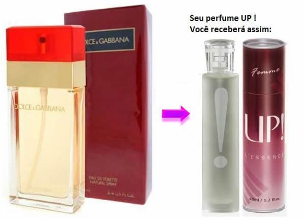 UP 16- Dolce e Gabbana